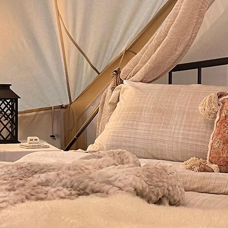 Shenandoah Valley Glamping - Amazing Views - Farm Edinburg エクステリア 写真
