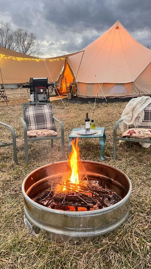 Shenandoah Valley Glamping - Amazing Views - Farm Edinburg エクステリア 写真