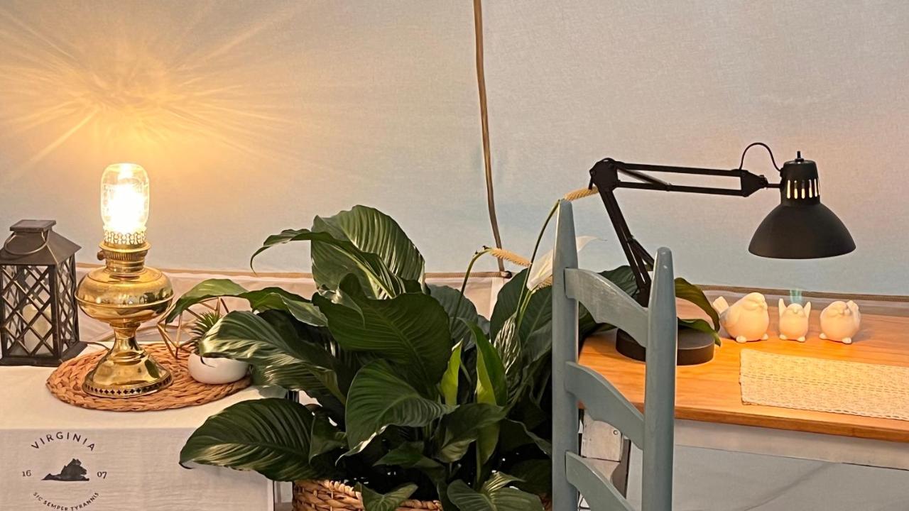 Shenandoah Valley Glamping - Amazing Views - Farm Edinburg エクステリア 写真