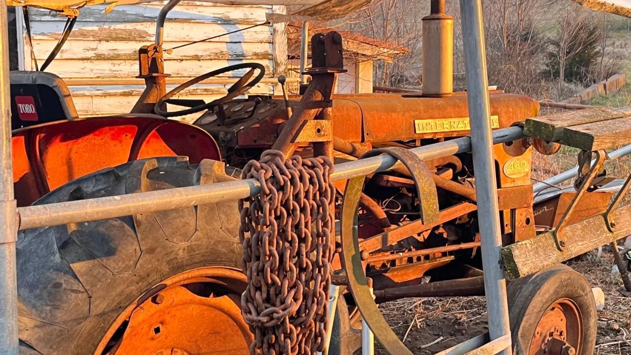 Shenandoah Valley Glamping - Amazing Views - Farm Edinburg エクステリア 写真