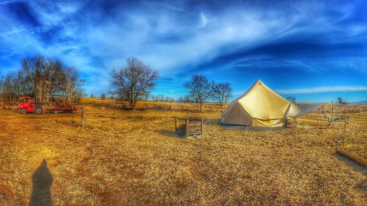 Shenandoah Valley Glamping - Amazing Views - Farm Edinburg エクステリア 写真