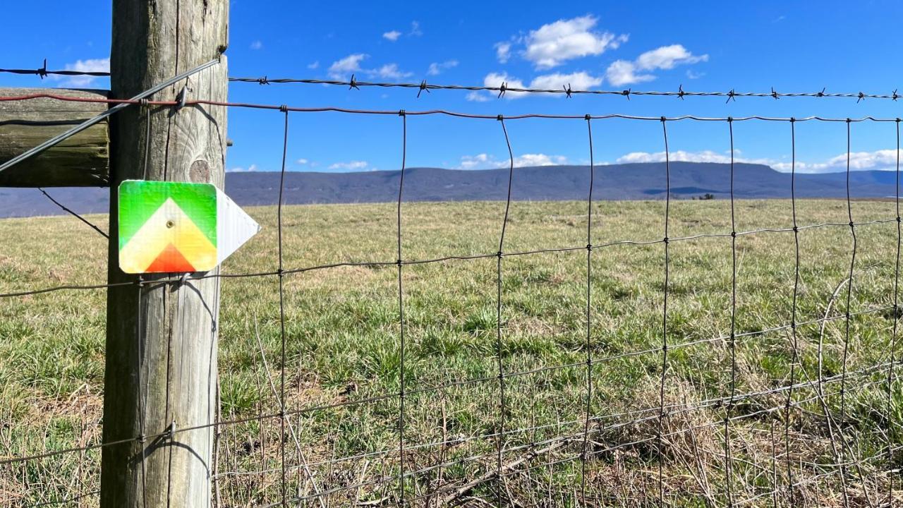 Shenandoah Valley Glamping - Amazing Views - Farm Edinburg エクステリア 写真