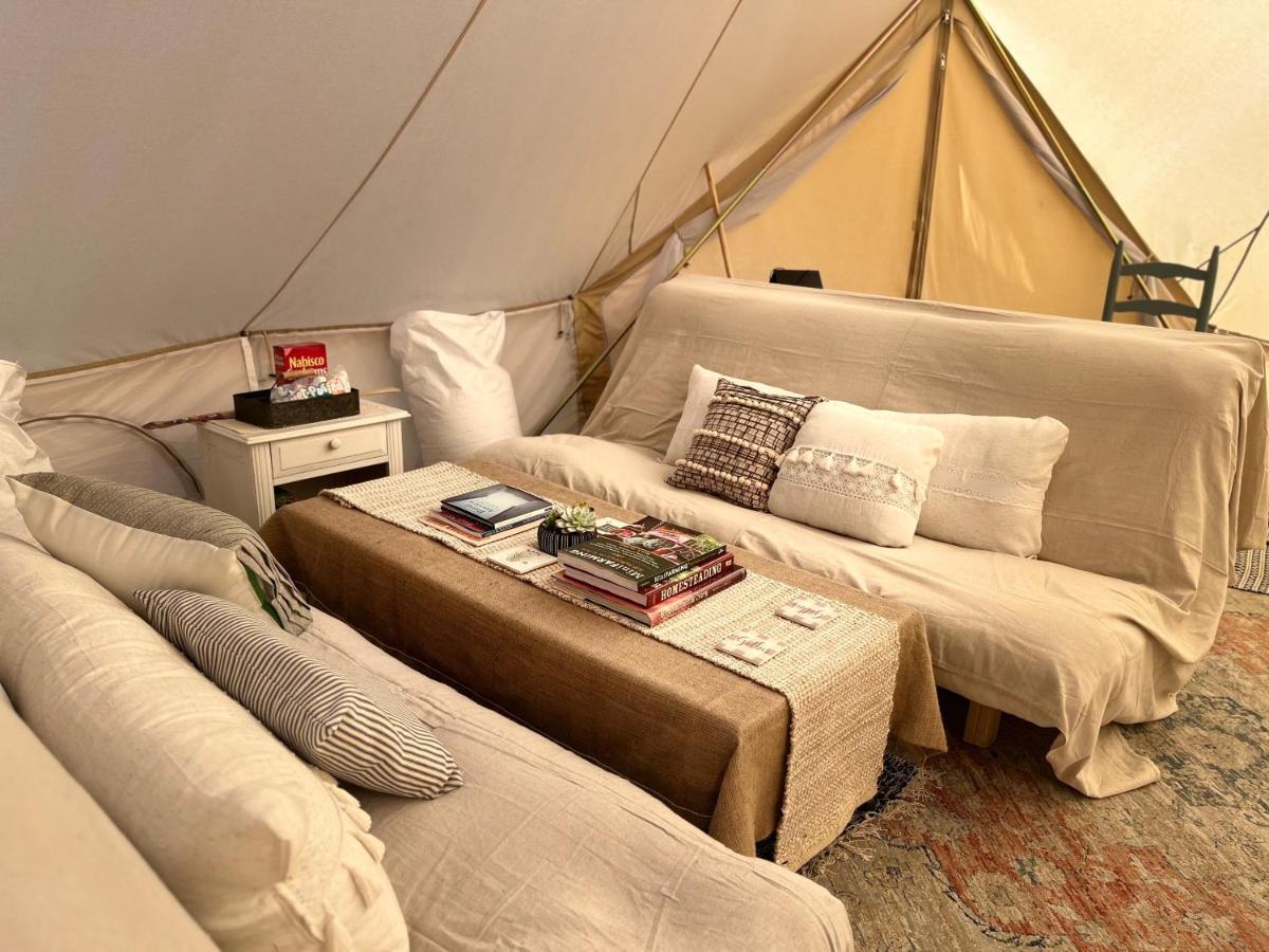 Shenandoah Valley Glamping - Amazing Views - Farm Edinburg エクステリア 写真