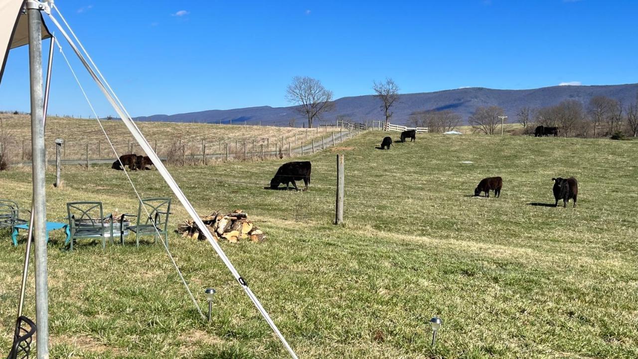 Shenandoah Valley Glamping - Amazing Views - Farm Edinburg エクステリア 写真