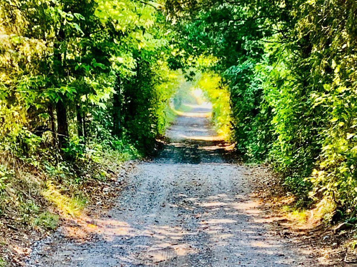 Shenandoah Valley Glamping - Amazing Views - Farm Edinburg エクステリア 写真